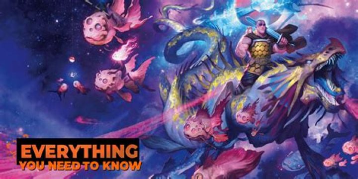 Everything You Need To Know!