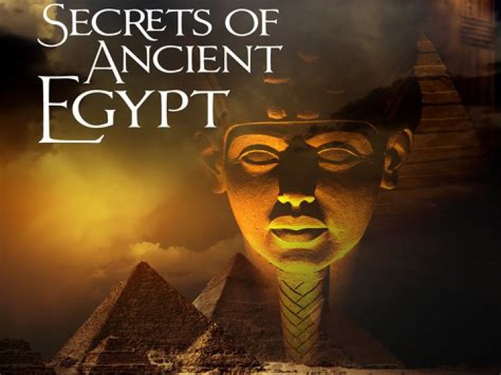 Uncover The Secrets Of Buffy Waltrip's Wealth